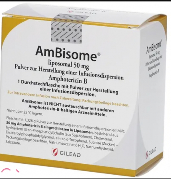  AMBISOME (амфотерицин В липосомальный) 50 мг  1 фл Гилеад - фото